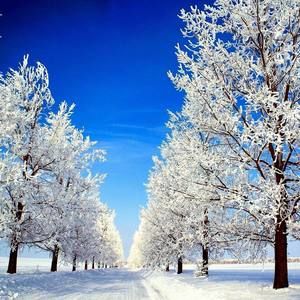 Meet your Posher, Monica